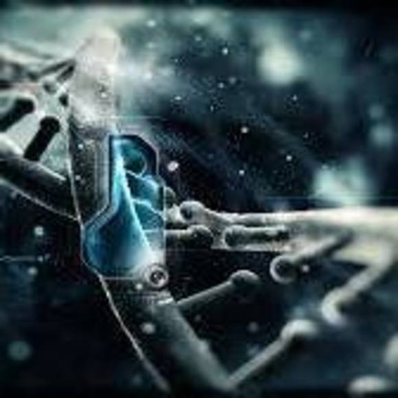 Meet your Posher, Daniel - Picture 1 of 1